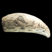 ANTIQUE ETCHED SCRIMSHAW WHALE