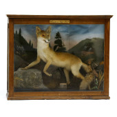 ANTIQUE EUROPEAN RED FOX IN GL