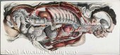 [Antique French Medical Prints