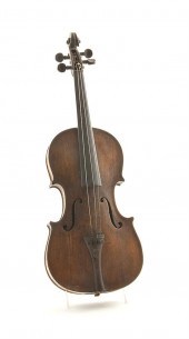 Antique Italian tiger maple vi