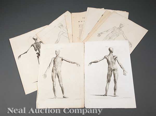 [Antique Medical Prints] a group of