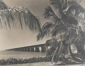 ANTIQUE PHOTOGRAPH, FLORIDA OV