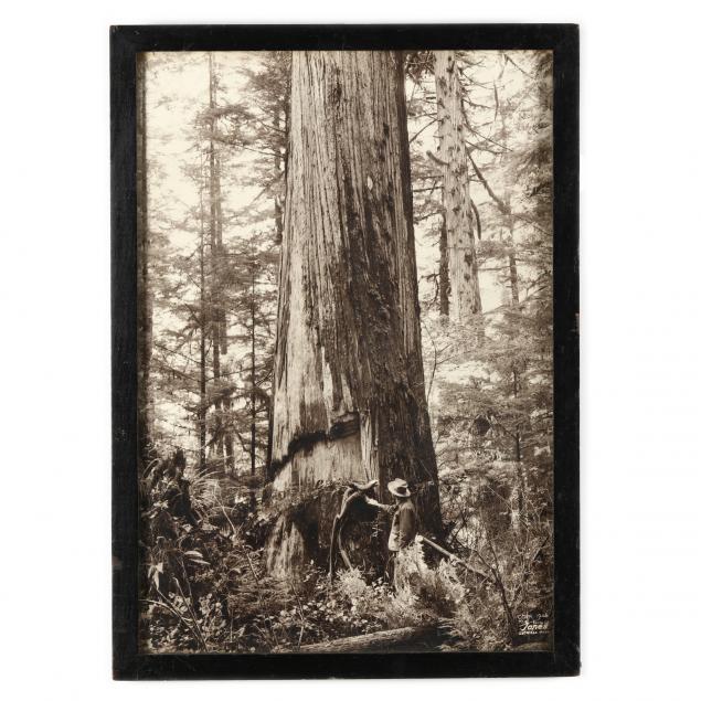 ANTIQUE PHOTOGRAPH OF GRAYS HARBOR,