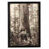 ANTIQUE PHOTOGRAPH OF GRAYS HA