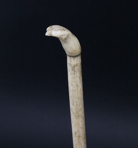 ANTIQUE SCRIMSHAWED FALCON'S HEAD