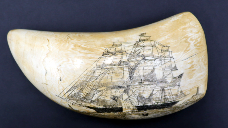 ANTIQUE SIGNED SPERM WHALE TOOTH