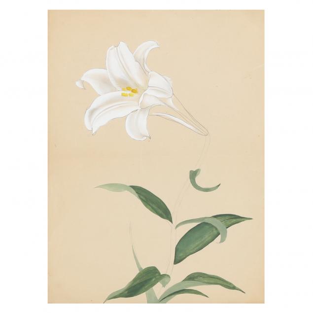 ANTIQUE WATERCOLOR SKETCH OF A LILY
