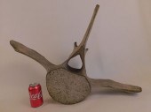 ANTIQUE WHALE VERTEBRAEAntique