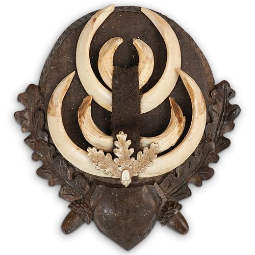 ANTIQUE WILD BOAR TUSK