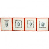 Antonini [URN STUDIES] Four en