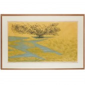 ANTONIO FRASCONI, COLOR WOODCU