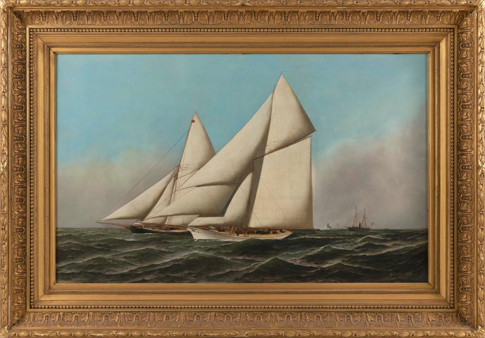 ANTONIO NICOLO GASPARO JACOBSEN