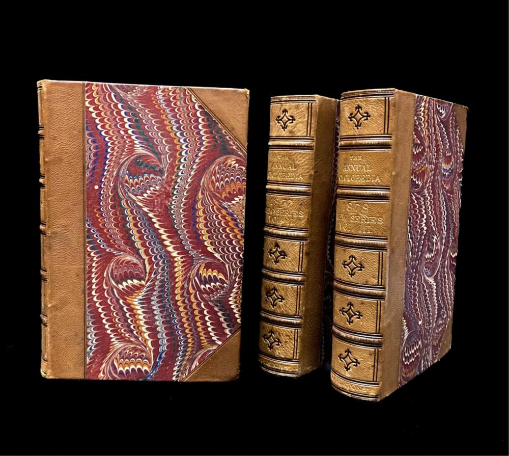 APPLETON'S ANNUAL CYCLOPEDIA NEW