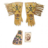 Apsáalooke [Crow] Beaded Hide