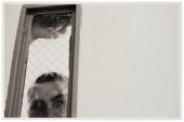 ARA OSHAGAN (B. 20TH CENTURY),