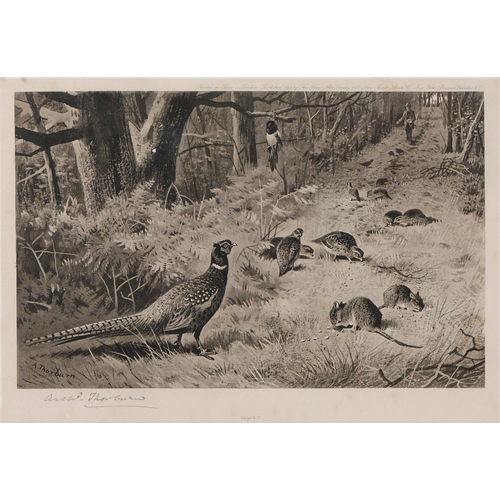 Archibald Thorburn (1860-1935) -