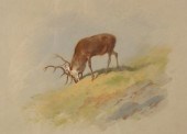 Archibald Thorburn (1860-1935)