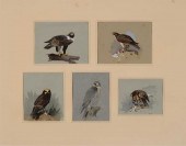 Archibald Thorburn (British, 1