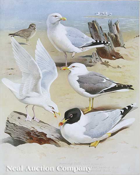 Archibald Thorburn F.Z.S. (Scottish