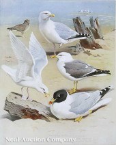 Archibald Thorburn F.Z.S. (Sco