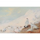 ? ARCHIBALD THORBURN (SCOTTISH