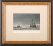 ARCTIC PRINTSA set of five 19t