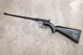ARMADITE RIFLE. AR-7 Survivor