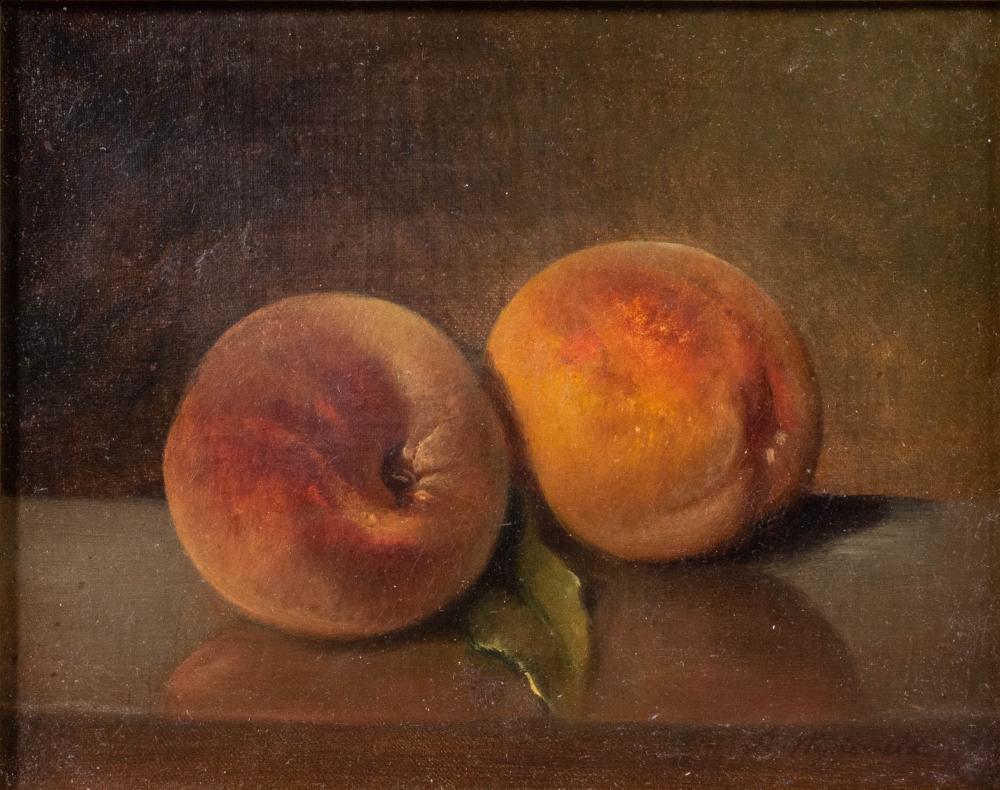 ARNOUD WYDEVELD, AMERICAN