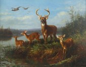 ARTHUR FITZWILLIAM TAIT (1819-