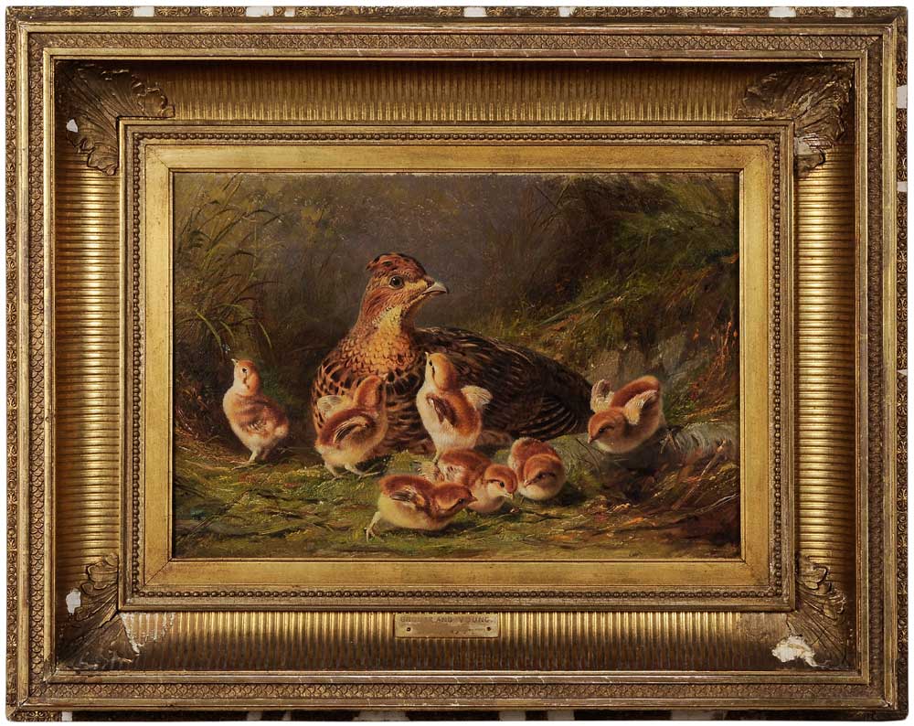 Arthur Fitzwilliam Tait (New