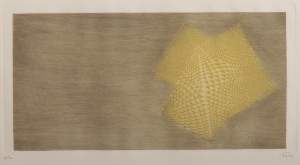 ARTHUR LUIS PIZA, BRAZIL, FRANCE