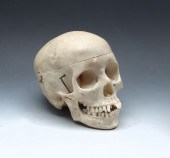 ARTICULATED MEDICAL SCHOOL HUM