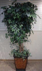 ARTIFICIAL FICUS TREE IN METAL