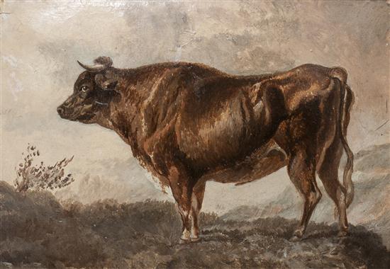 Artist Unknown (20th century) Cow