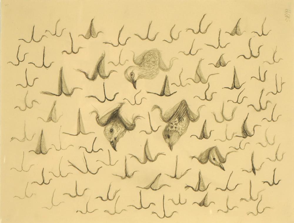 ARTIST UNKNOWN: BIRD