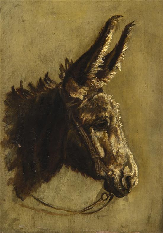 Artist Unknown Donkey oil on canvas