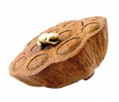 ASIAN: OVER-SIZED LOTUS ROOT N