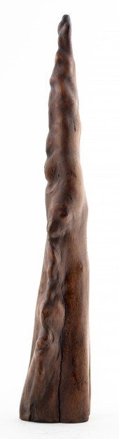 ASIAN SCHOLAR WOOD SPECIMEN SC