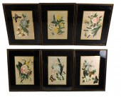 ASIAN: SIX CHINESE PAINTINGS O