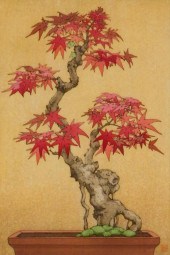 ASIAN: TSUKASA YOSHIDA (JAPANE
