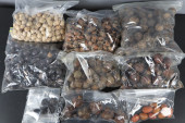 ASSORTED ACORNS, SEEDS, PODS,