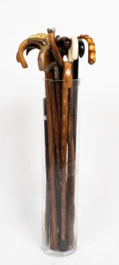 ASSORTED CANES & WALKING STICK