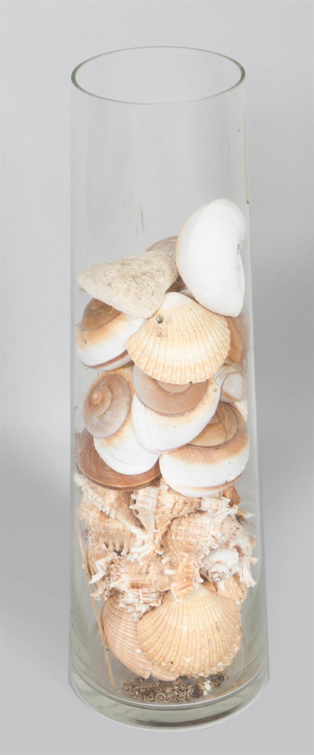 ASSORTED SEA SHELLS IN GLASS
