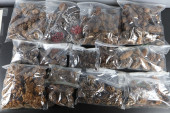 ASSORTED SEEDS, SEED PODS, AND