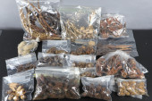 ASSORTED SEEDS, SEED PODS, ETC