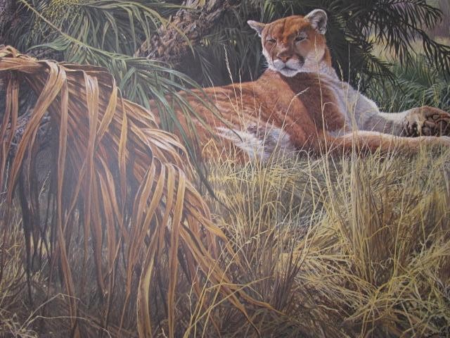 Assorted unframed wildlife