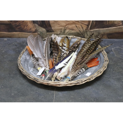Assortment of feathers to include