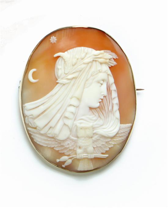 ATHENA SHELL CAMEO.  Nineteenth