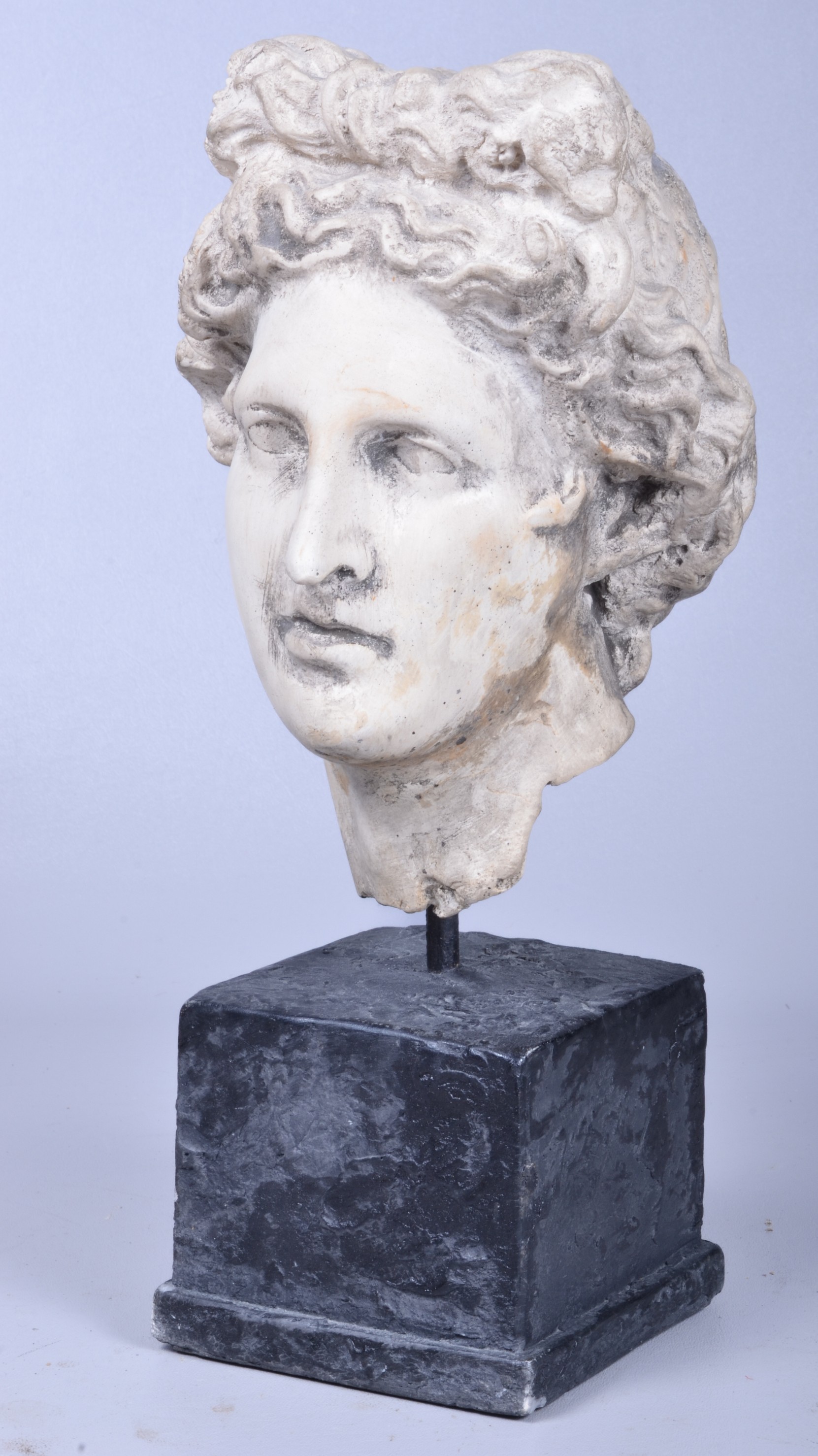 Atilla's bust of Apollo, 15-1/4" H,