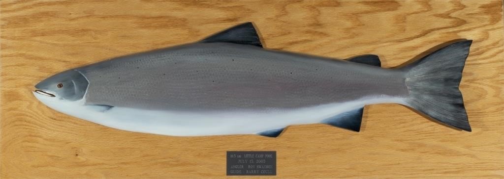 ATLANTIC SALMON MODELBarry Coull